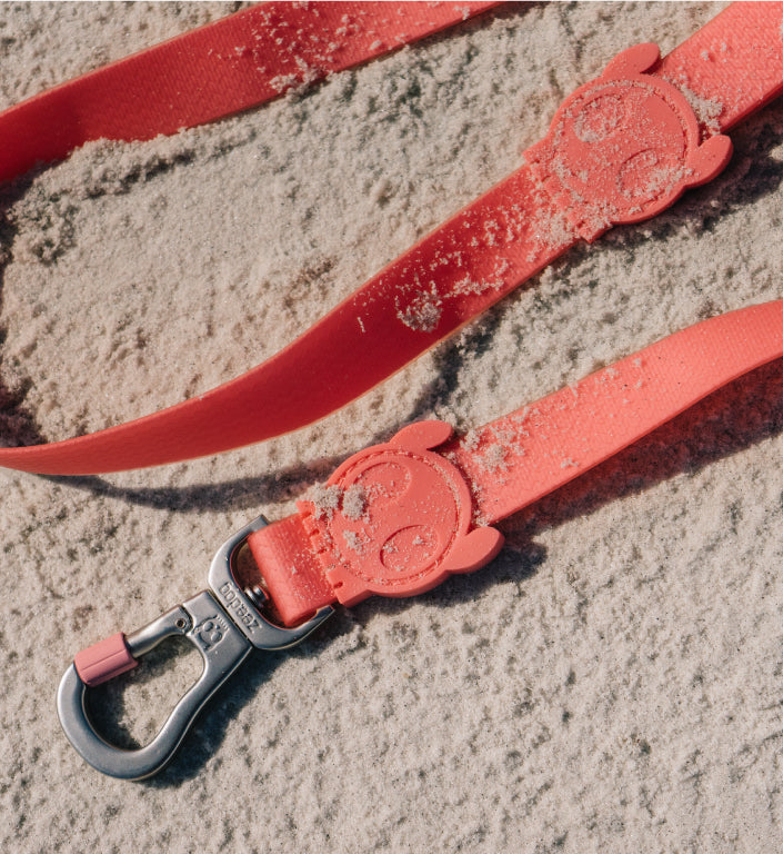 Classic Neopro Bubblegum | Leash