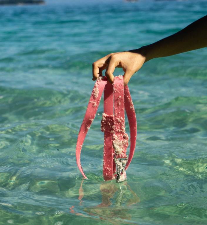 Classic Neopro Bubblegum | Leash