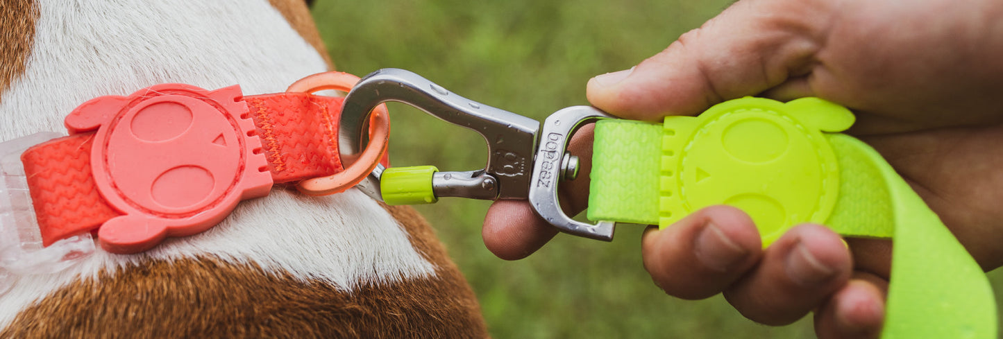 Classic Neopro Lime | Leash
