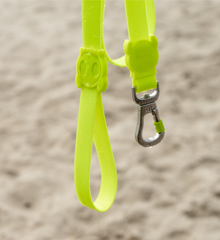Classic Neopro Lime | Leash