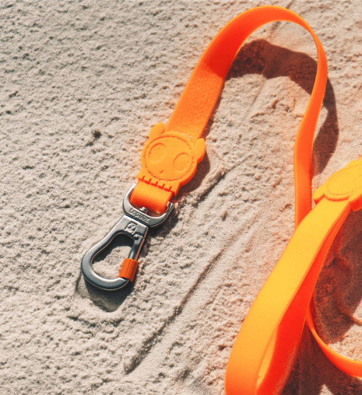 Classic Neopro Tangerine | Leash