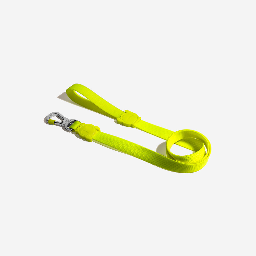 Classic Neopro Lime | Leash
