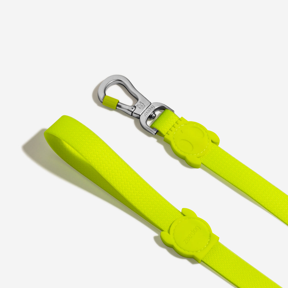 Classic Neopro Lime | Leash