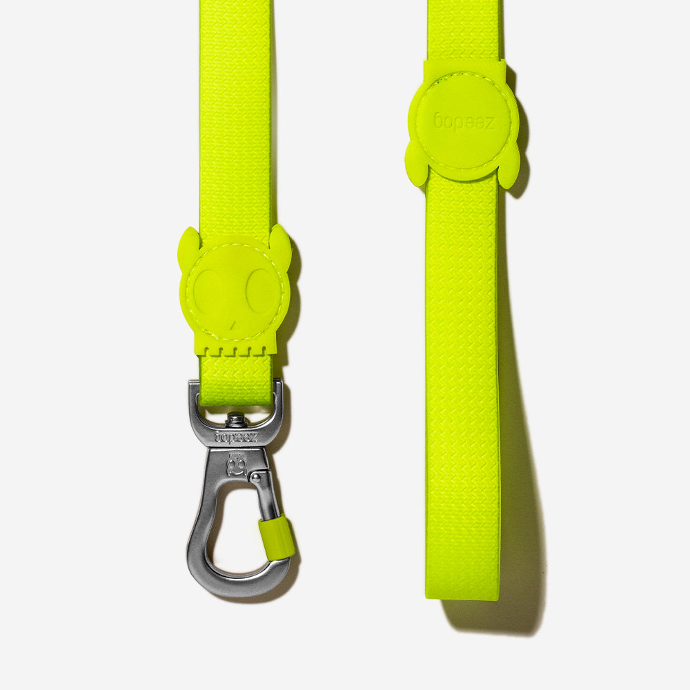 Classic Neopro Lime | Leash