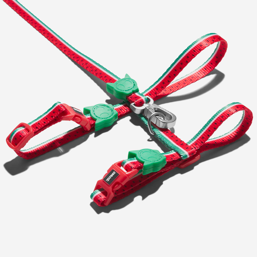 Classic Lola | Cat Harness with Leash