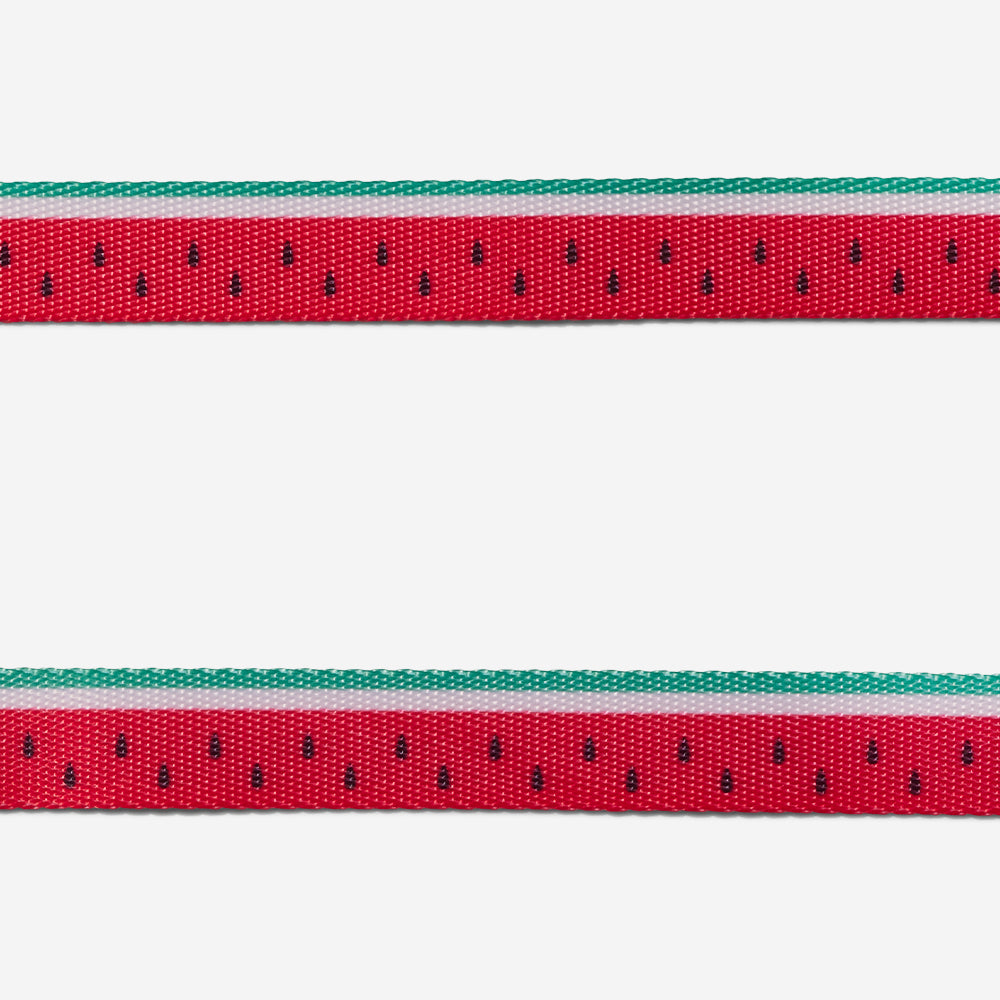 Classic Lola | Cat Harness with Leash