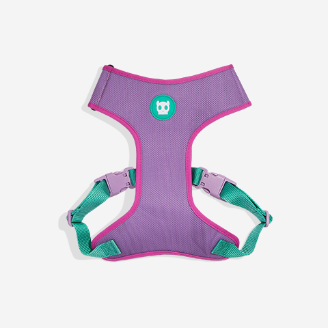 Classic Aura | Adjustable Air Mesh Harness