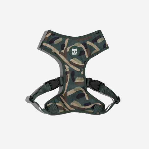 Jet | Adjustable Air Mesh Harness