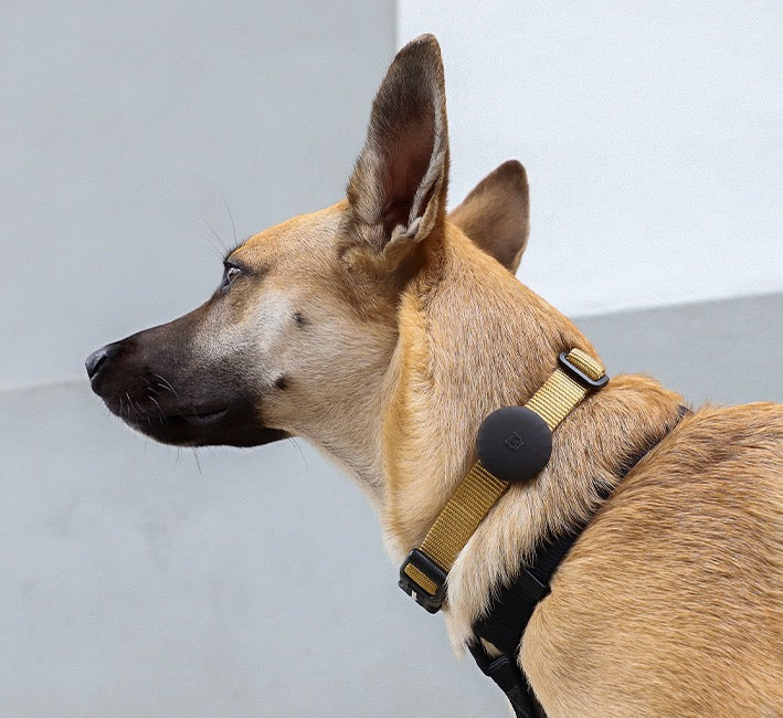 Classic Gotham | AirTag Holder