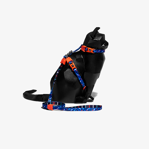 Classic Atlanta | Cat Harness with Leash