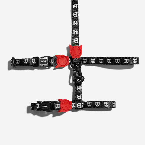 Classic Skull 2.0 | Cat Harness with Leash