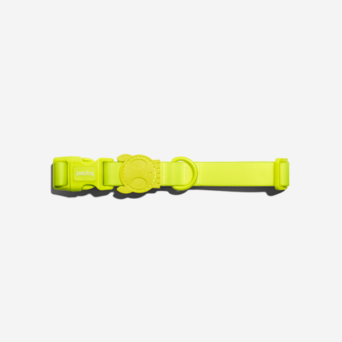 Classic Neopro Lime | Collar
