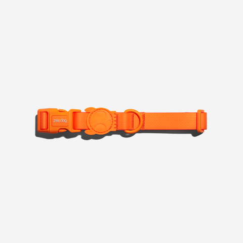 Neopro Tangerine | Collar