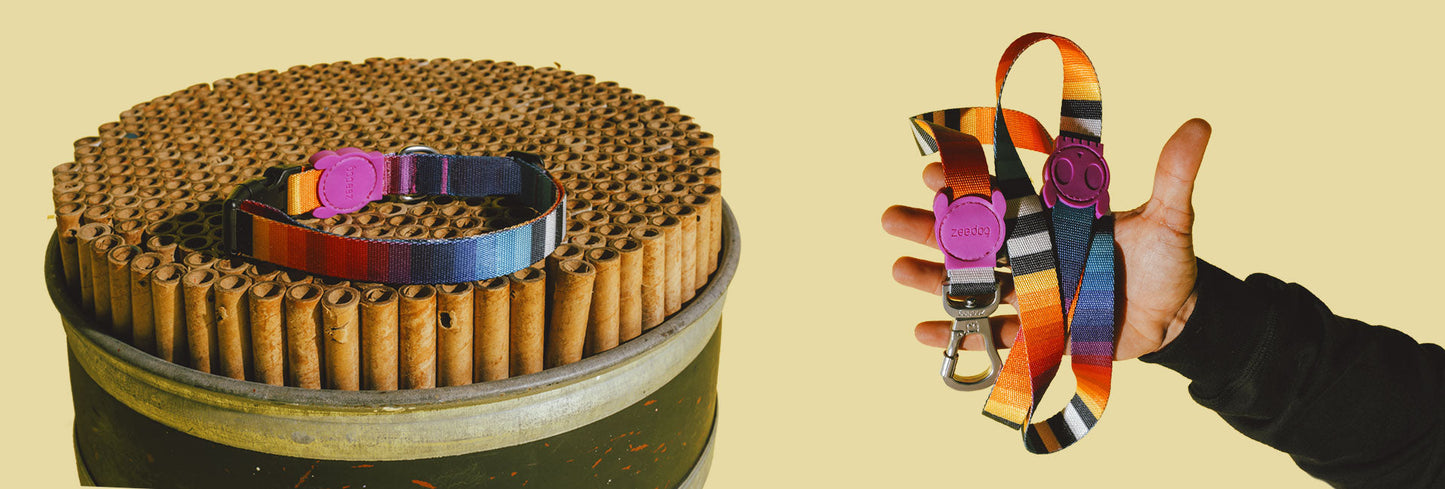 Classic Prisma | Collar