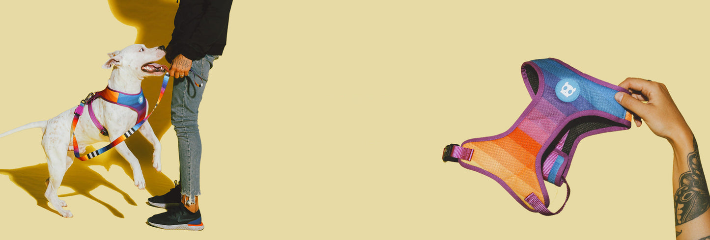 Classic Prisma | Collar