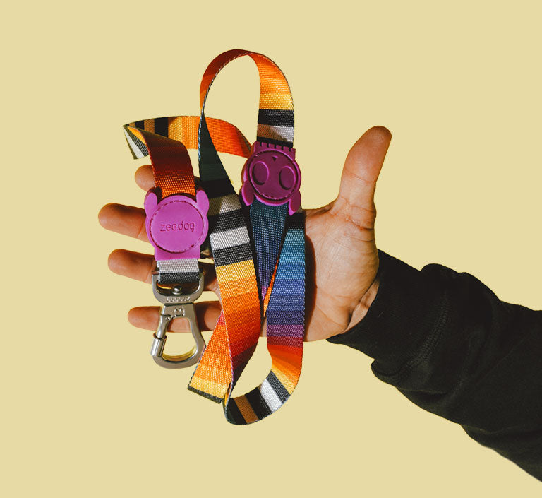 Classic Prisma | Collar