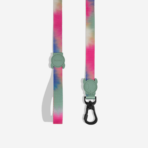 Classic Bliss | Leash