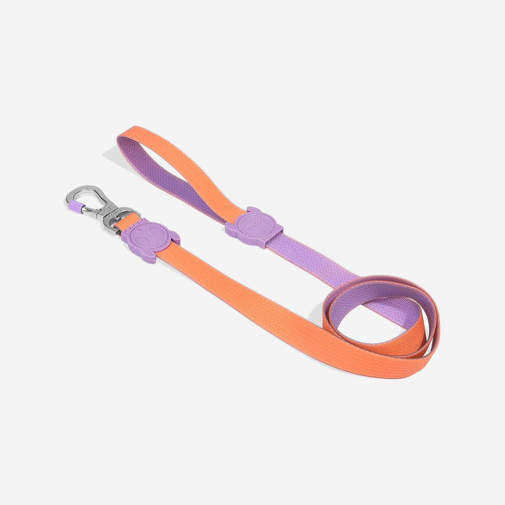 Classic Neopro Iris | Leash