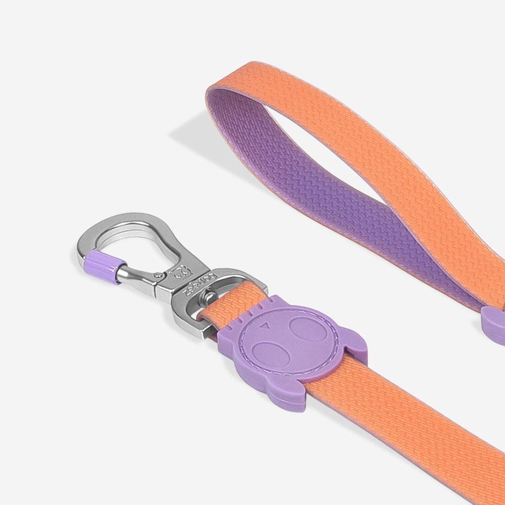 Classic Neopro Iris | Leash