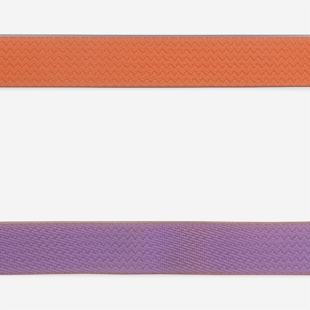 Classic Neopro Iris | Leash