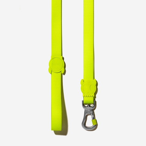 Classic Neopro Lime | Leash