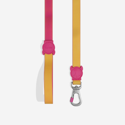 Classic Neopro Lyra | Leash