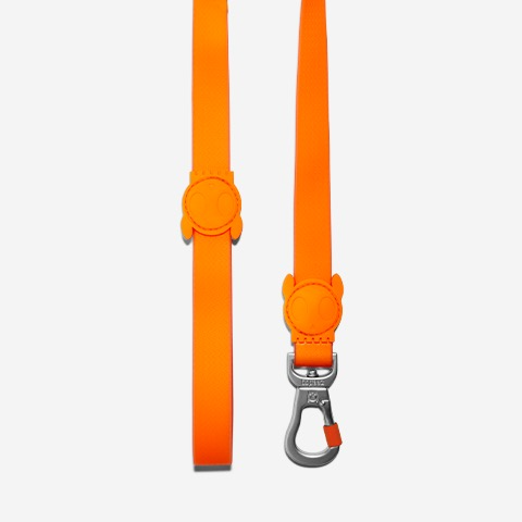 Classic Neopro Tangerine | Leash