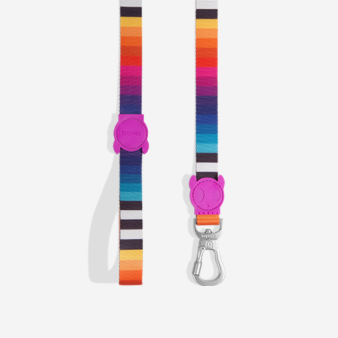 Classic Prisma | Leash