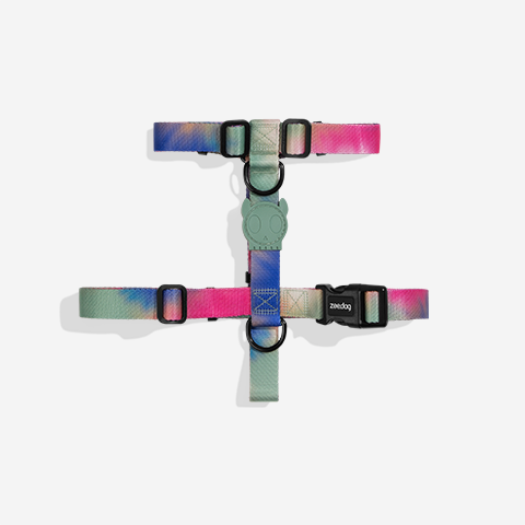 Classic Bliss | H Harness