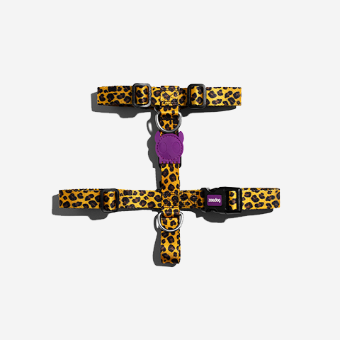 Classic Honey | H-Harness