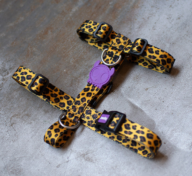 Classic Honey | H-Harness