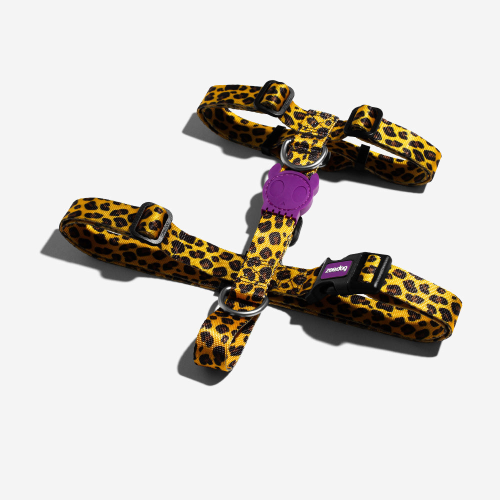 Classic Honey | H-Harness