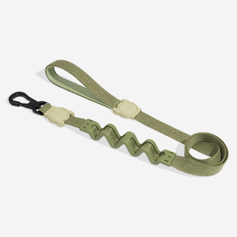 Naturals Moss | Ruff Leash 2.0