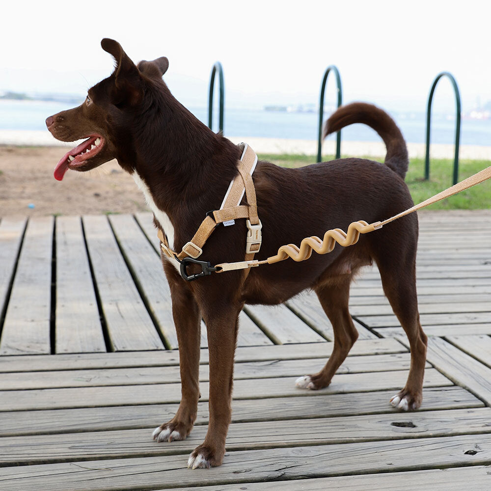 Naturals Dune | SofterWalk Harness