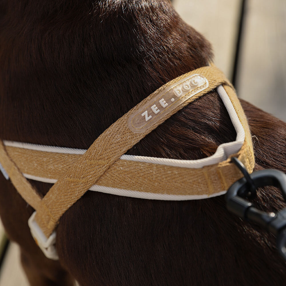 Naturals Dune | SofterWalk Harness