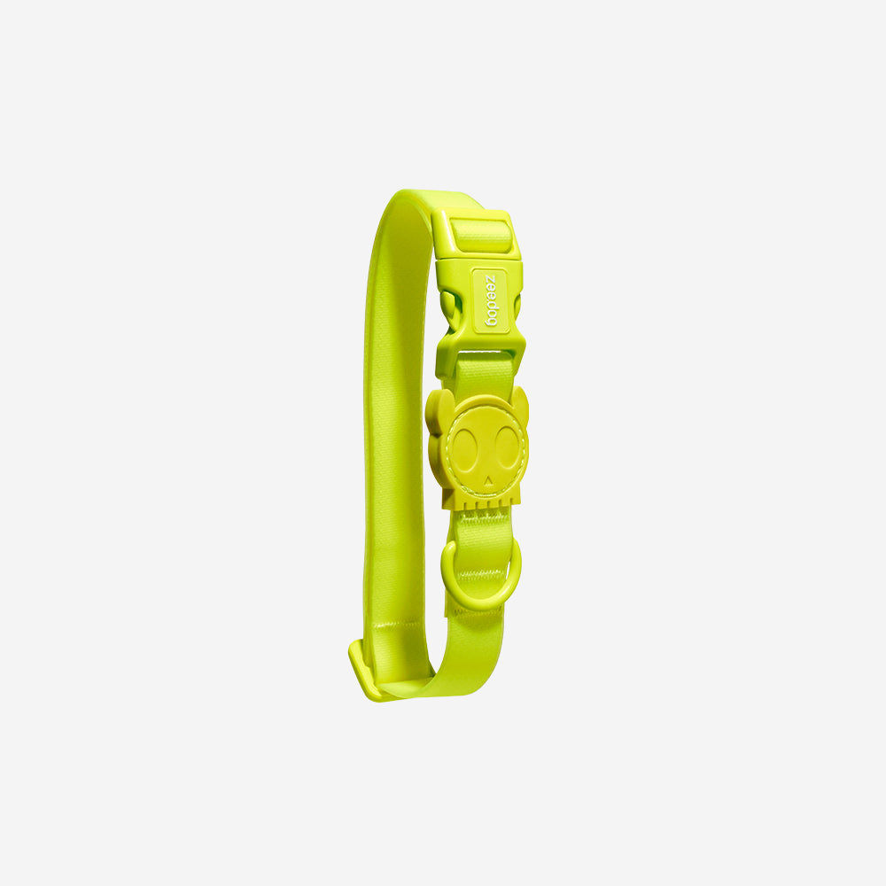 Classic Neopro Lime | Collar