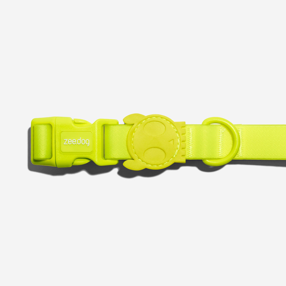 Classic Neopro Lime | Collar