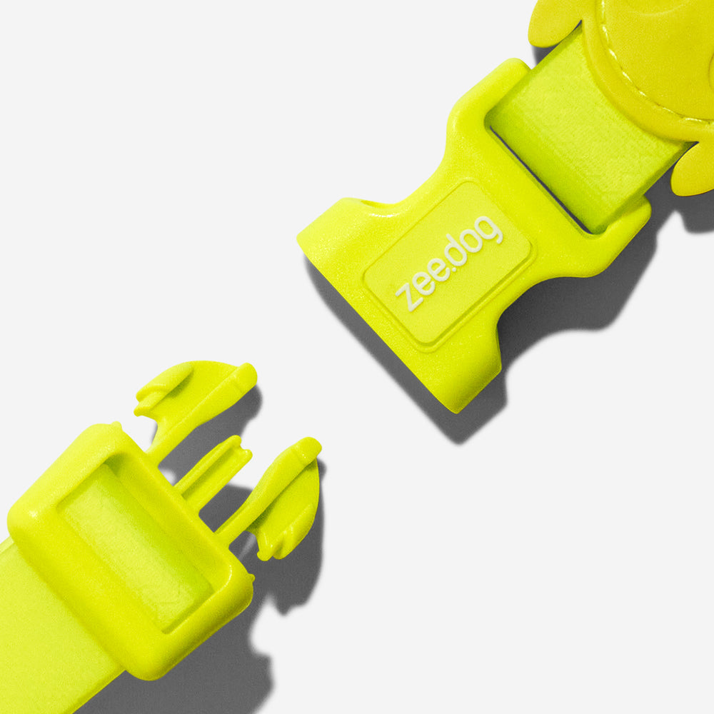 Classic Neopro Lime | Collar